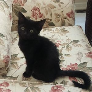 Meet your Posher, Jill